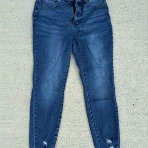 Judy Blue Dark Wash Skinny Jeans